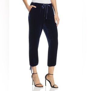 JOIE-DYRE Velvet Drawstring Jogger Pants (Size:Large)